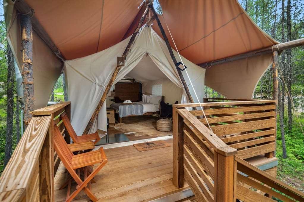 Under Canvas Acadia Surry Camera foto